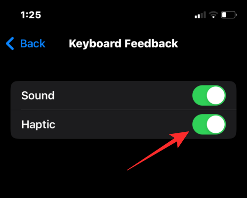 Was ist eine haptische Tastatur unter iOS 16 und wie aktiviert man sie auf Ihrem iPhone?