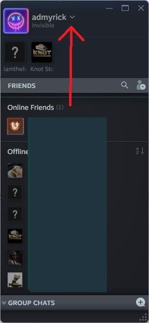 How to Show as Offline in Steam