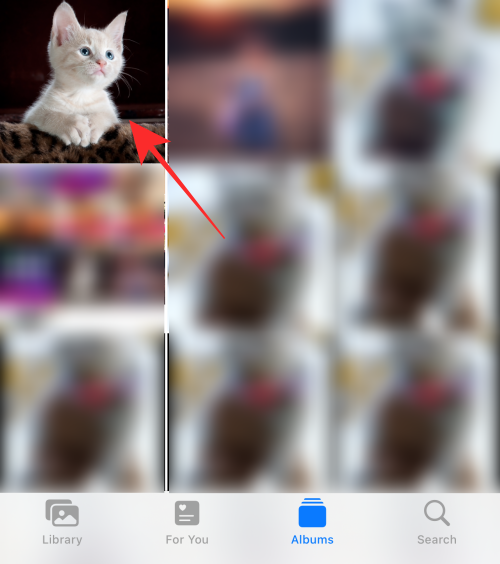 วิธีคัดลอกการแก้ไขในแอพ Photos บน iPhone บน iOS 16