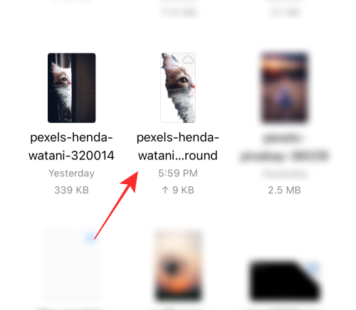 【簡単】iPhoneやiPadのファイルアプリを使って背景を削除する方法