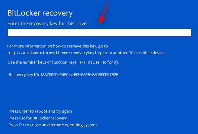 Windows 11을 다시 시작한 후 Bitlocker 복구 키 문제를 해결하는 방법