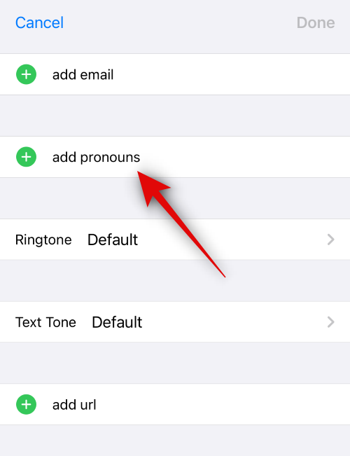So fügen Sie unter iOS 17 Pronomen für einen Kontakt hinzu