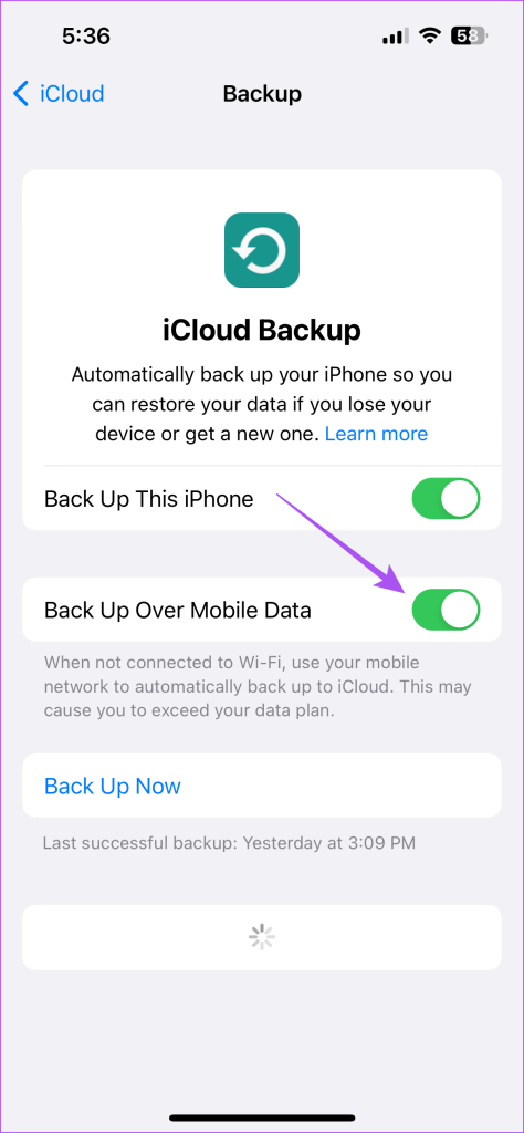 Cómo detener la copia de seguridad automática en iCloud en iPhone, iPad y Mac