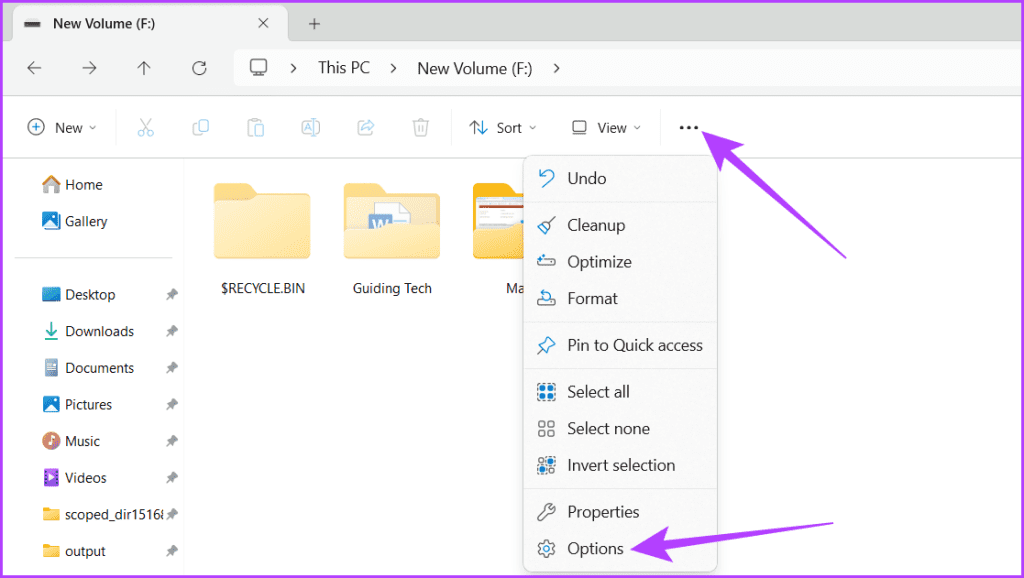 Windows 11에서 파일 및 폴더를 숨기는 방법