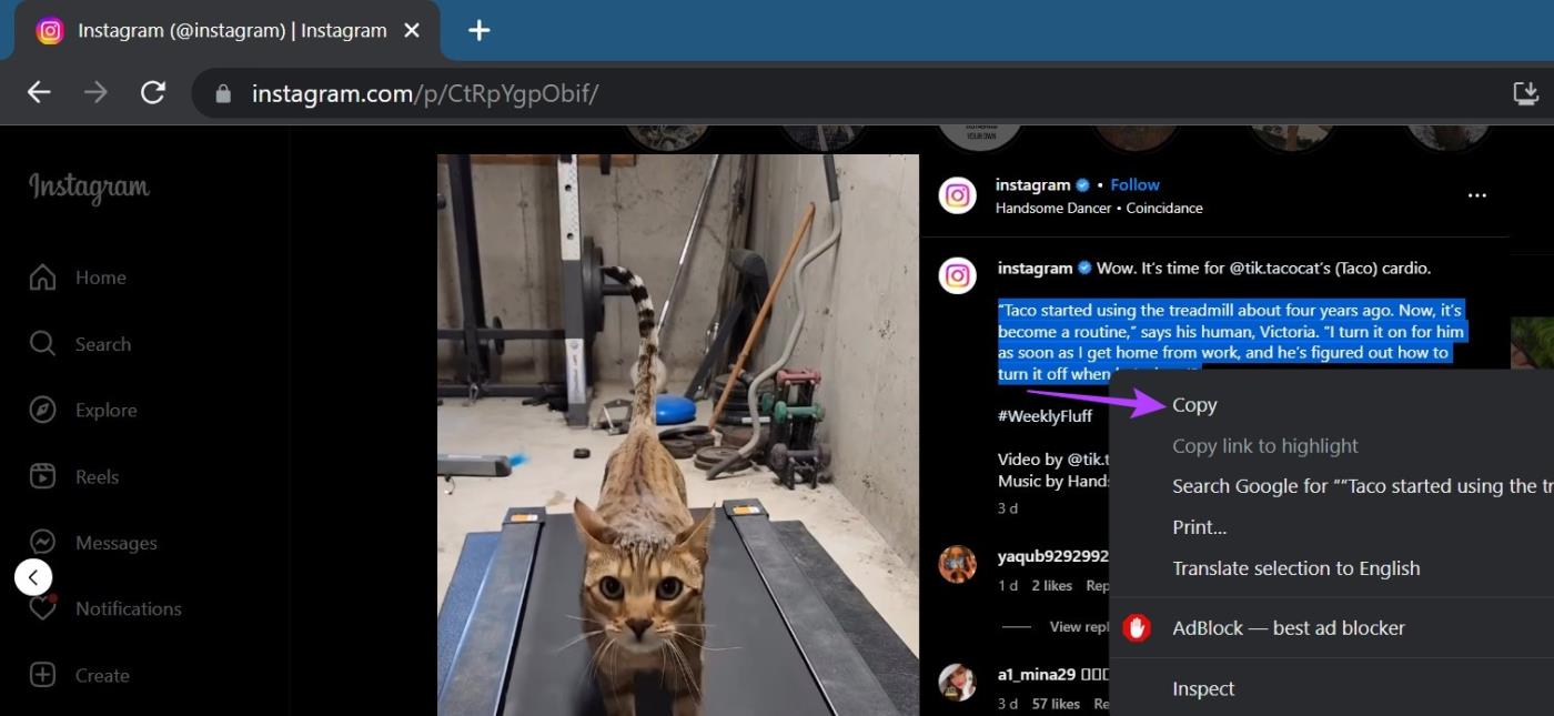 4 façons simples de copier du texte à partir d'une publication Instagram