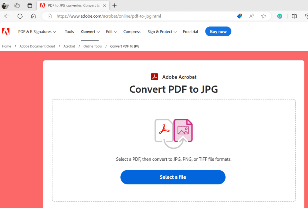 Cómo guardar un documento de Word como imagen