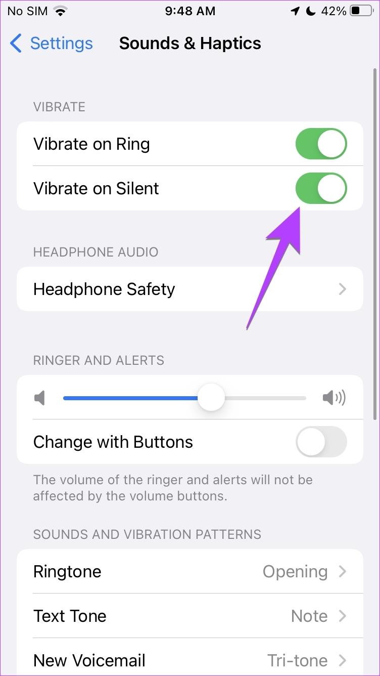 كيفية جعل iPhone يهتز أو لا يهتز في الوضع الصامت (تم تحديث iOS 17)