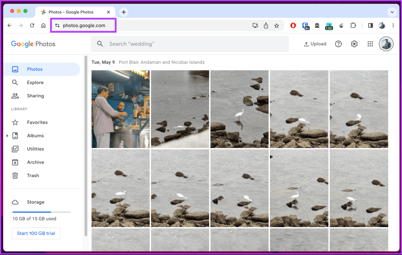 Foto's downloaden van Google Foto's op desktop en mobiel