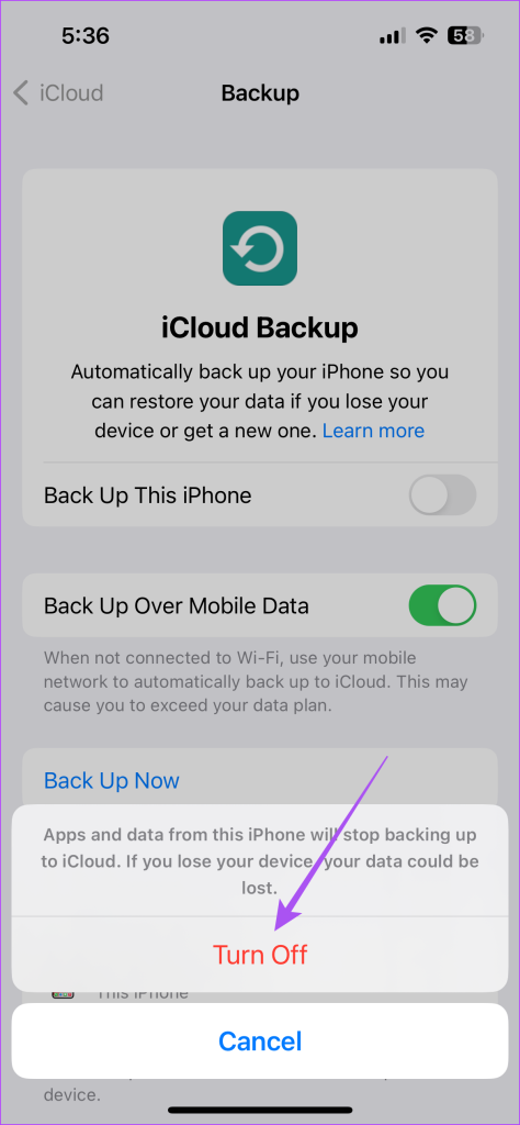 So stoppen Sie die automatische Sicherung in iCloud auf iPhone, iPad und Mac