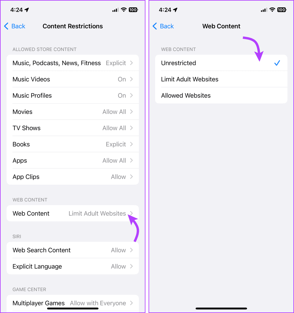 5 maneiras de corrigir a navegação privada do Safari não disponível no iPhone ou iPad