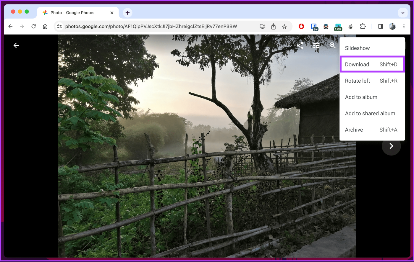 Foto's downloaden van Google Foto's op desktop en mobiel