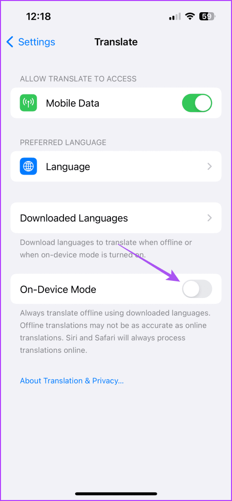 翻譯應用程式無法在 iPhone 上運行的 7 個最佳修復方法