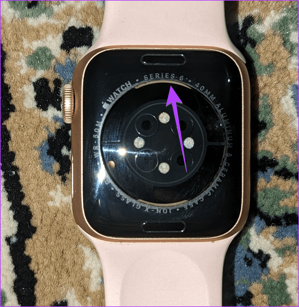 我的 Apple Watch 是什麼系列或型號