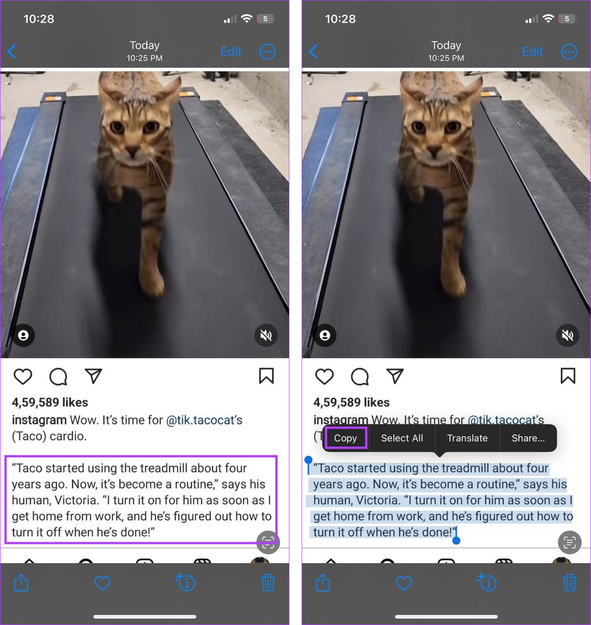 4 semplici modi per copiare testo da un post di Instagram