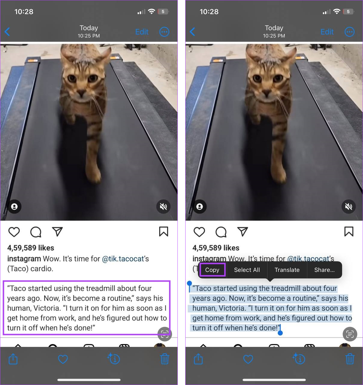 Instagramの投稿からテキストをコピーする4つの簡単な方法