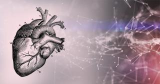 Những cách AI giúp chuyển đổi chăm sóc sức khỏe tim mạch