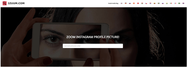 Cum să vizualizați Instagram privat fără verificare umană 2021