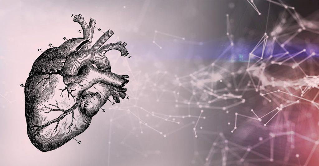 AI가 심장 건강 관리를 혁신하는 방법