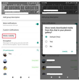 Opriți modul de salvare automată în WhatsApp și organizați-vă galeria cu aceste hack-uri!