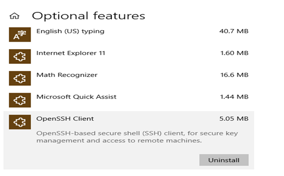 Bagaimana Cara Menggunakan SSH Secure Shell Di Windows 10?