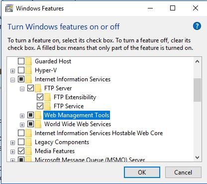 Windows 10'da FTP Sunucusu Nasıl Kurulur ve Yönetilir?