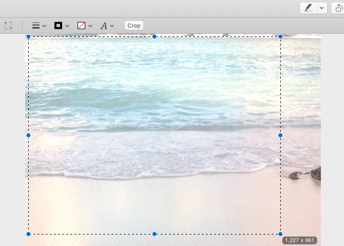 미리보기 앱을 사용하여 Mac에서 사진을 편집하는 방법은 무엇입니까?