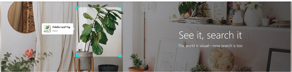 Bing Visual Search: 10 lucruri interesante pe care le puteți face cu el