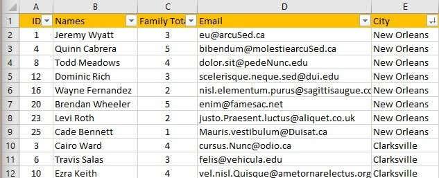 So filtern Sie Daten in Excel