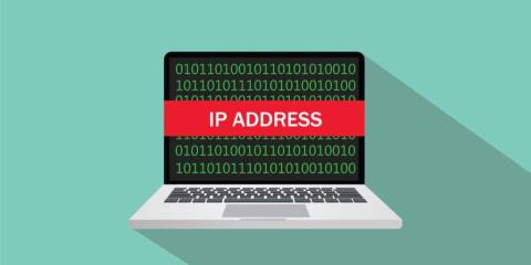 IP static vs. adrese IP dinamice (DHCP) – 5 diferențe mari