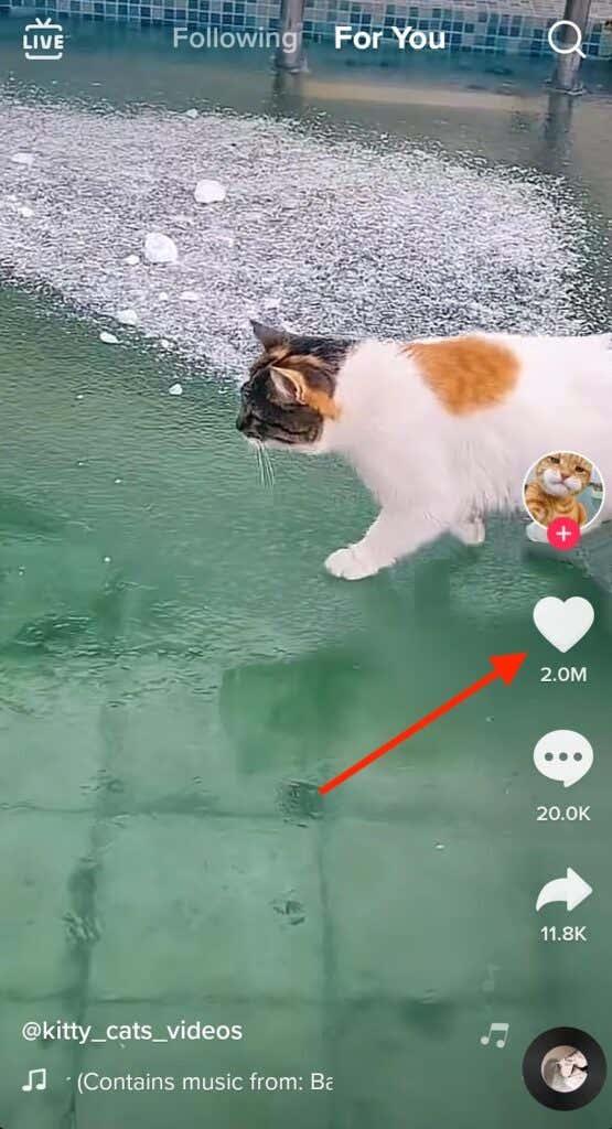 Cómo aparecer en la página "Para ti" de TikTok