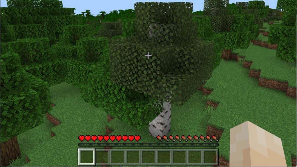 วิธีแก้ไขข้อผิดพลาด ”ไม่สามารถเชื่อมต่อกับโลก” ใน Minecraft