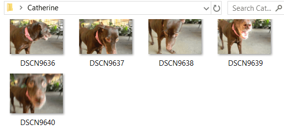 Comment redimensionner des photos en masse avec Windows 10