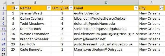 Excel でデータをフィルター処理する方法