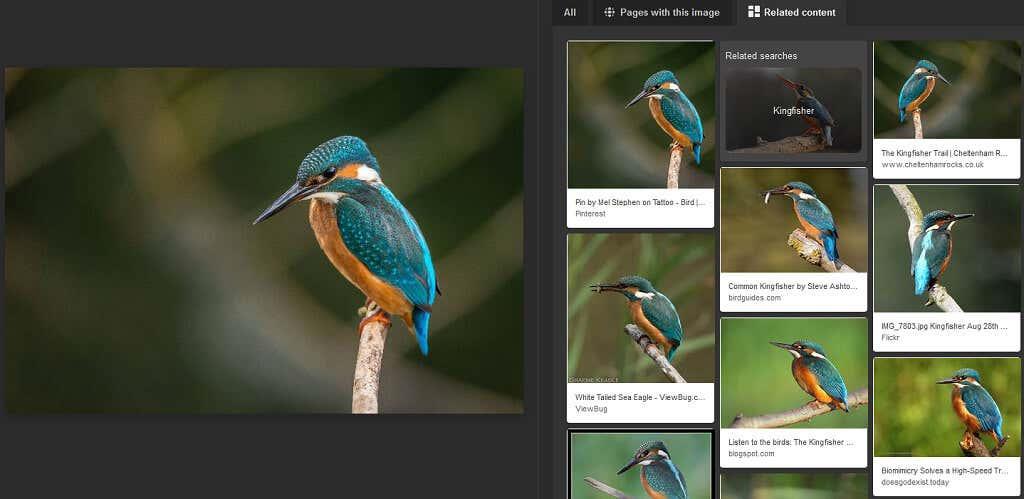 Bing Visual Search: 10 lucruri interesante pe care le puteți face cu el