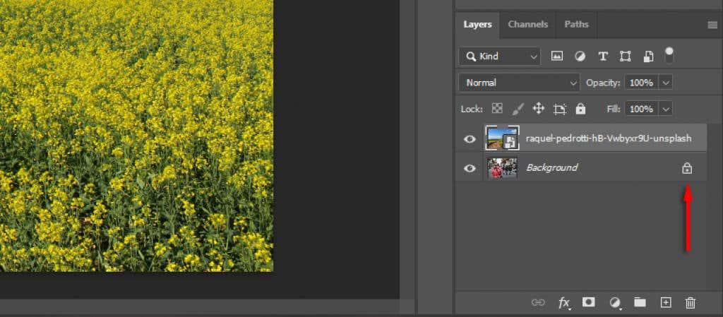 Photoshop を使用して画像の背景を変更する方法