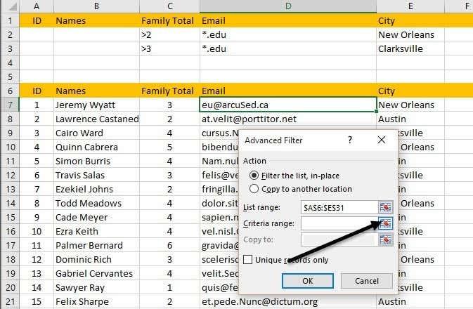 Excel でデータをフィルター処理する方法