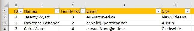 Excel でデータをフィルター処理する方法