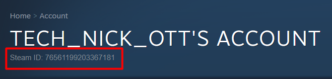 So finden Sie Ihre Steam-ID