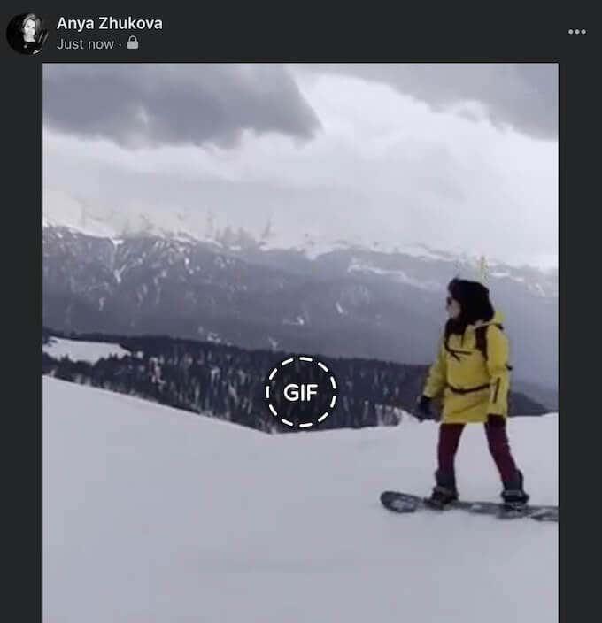 Cum să postezi un GIF pe Facebook, Instagram, Reddit și Twitter