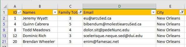 So filtern Sie Daten in Excel