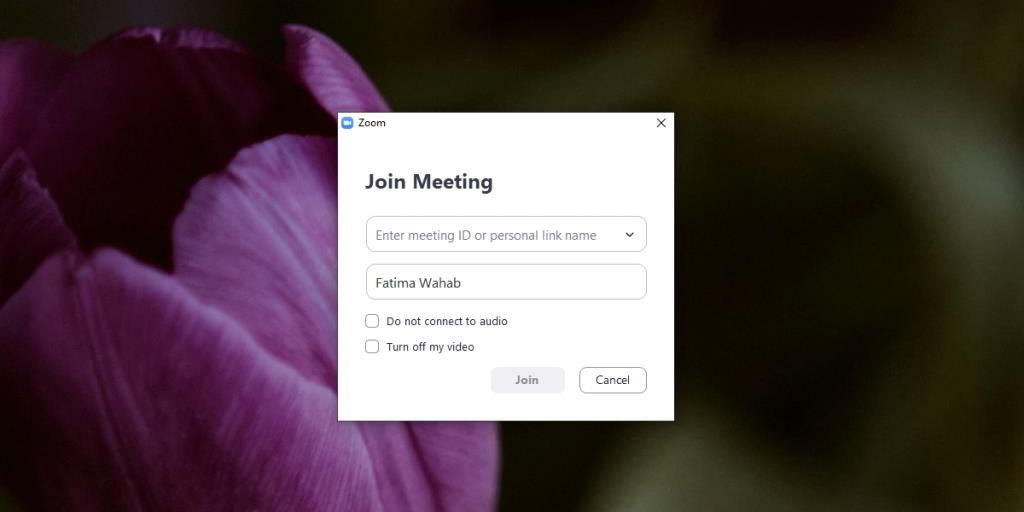 Bir Zoom toplantısına nasıl katılınır: şifre ile giriş yapın