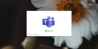 Bagaimana membedakan antara pemilik Microsoft Teams vs anggota