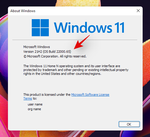 Cum să verificați versiunea Windows 11