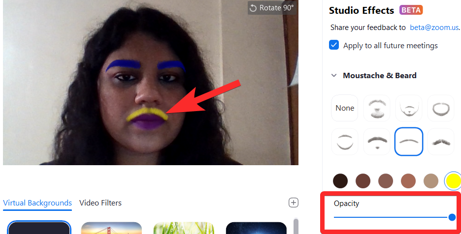 Zoom Studio Effects：フィルターを使用して眉、唇の色、口ひげ、あごひげを変更する方法