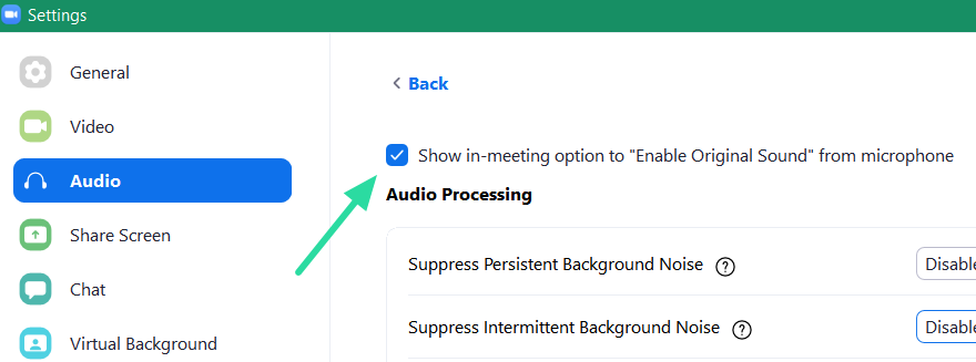 Como reproduzir música com zoom: as configurações certas para saber!