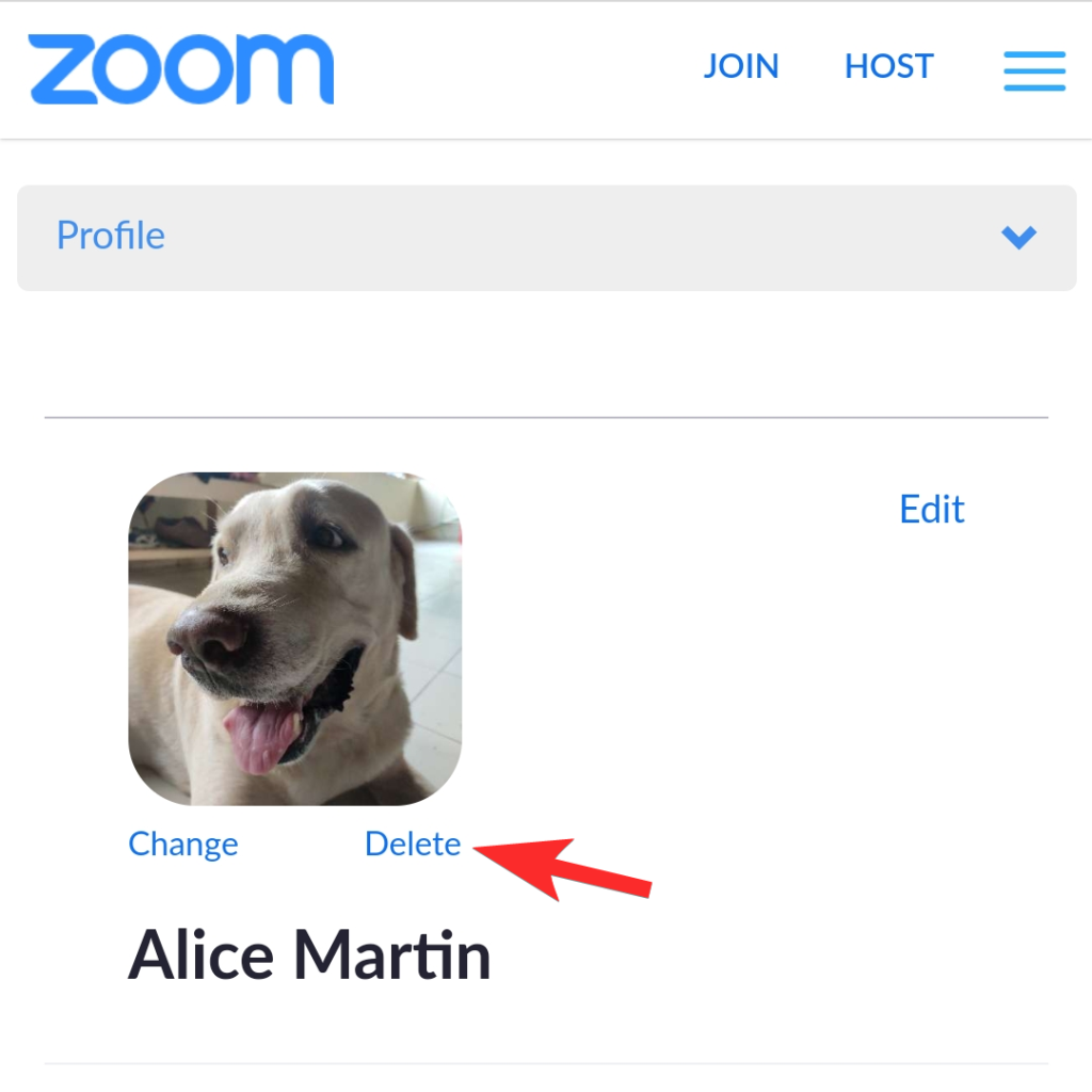 Cum să eliminați fotografia de profil Zoom de pe telefon sau computer