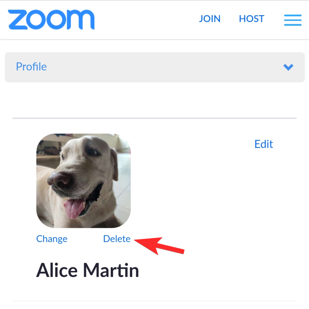 Cómo quitar la imagen de perfil de Zoom en su teléfono o PC