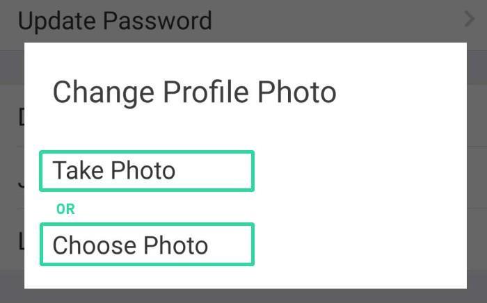 Como colocar uma foto de perfil em vez de vídeo no Zoom (antes ou durante uma reunião) no PC e no telefone