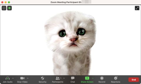 Zoom Cat Filter : comment lobtenir, lactiver et léteindre