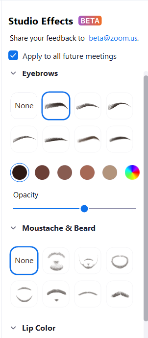 Zoom Studio Effects: So ändern Sie Augenbrauen, Lippenfarbe, Schnurrbart und Bart mit Filtern